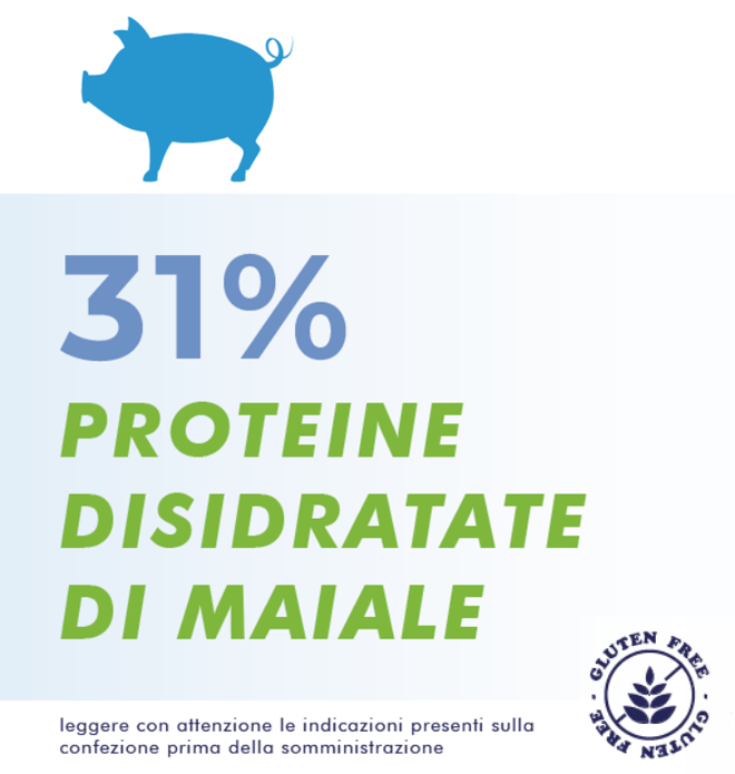 31 percento di proteine disidratate di maiale